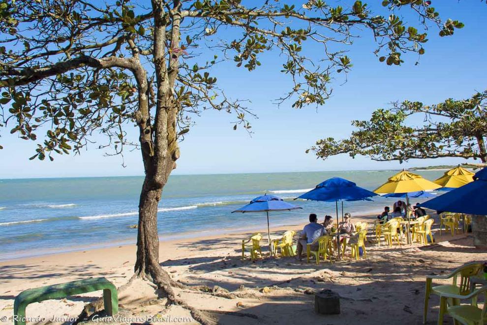 Imagem de turistas em baixo das ávores nas areias da Praia dos Coqueiros.